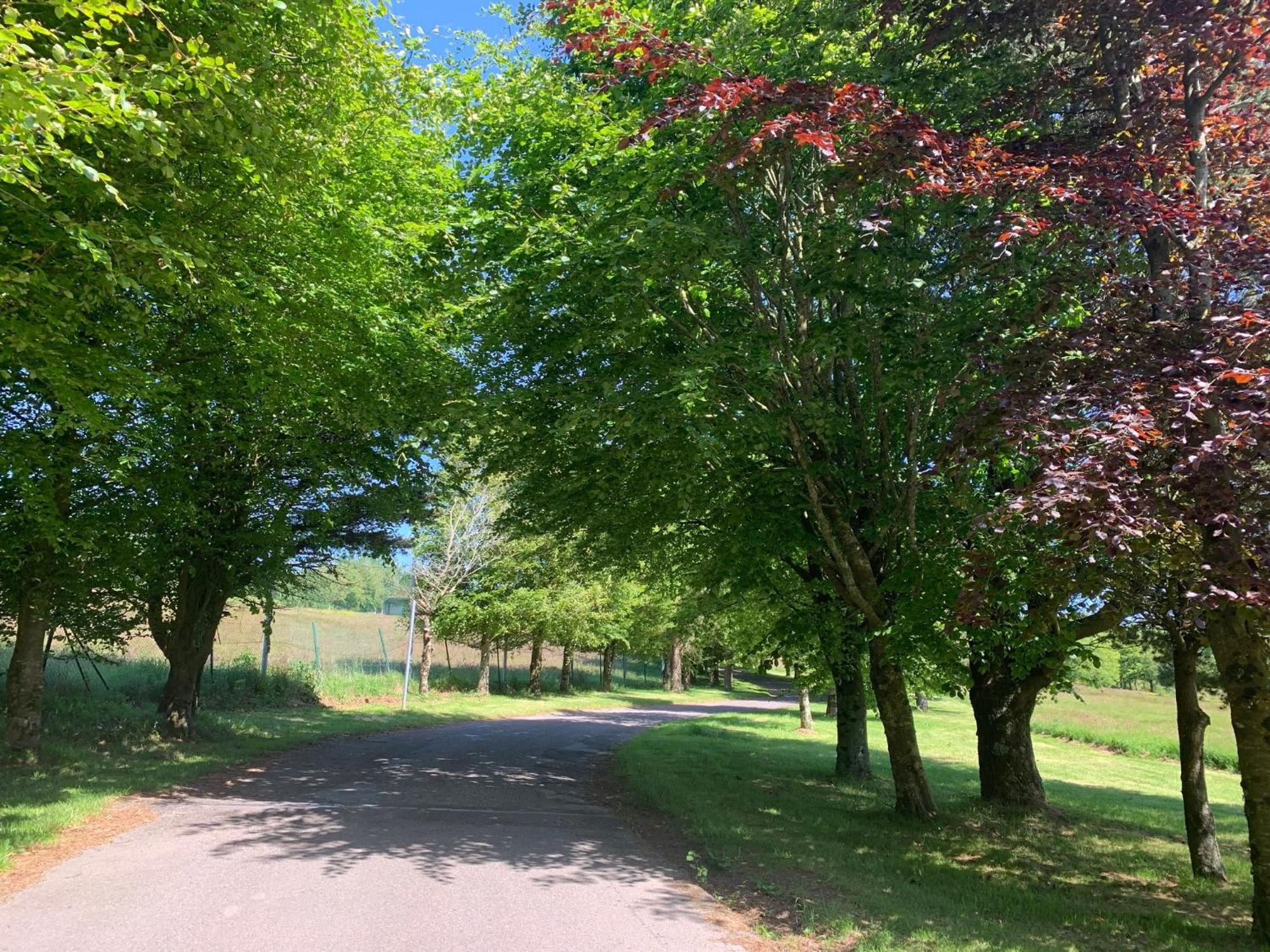 Fernhill Lodge Carrigaline Eksteriør bilde